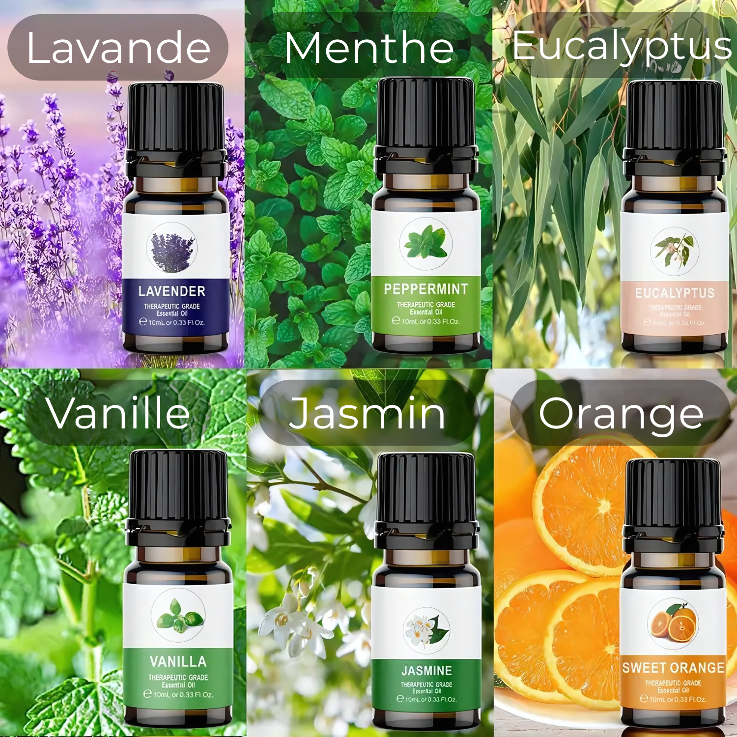 Coffret 6 Huiles Essentielles pour Diffuseur de Voiture