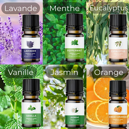 Coffret 6 Huiles Essentielles pour Diffuseur de Voiture