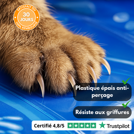AquaJoy™ - Tapis interactif aquatif