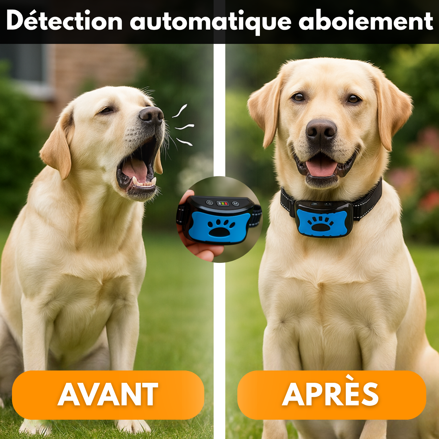 BarkSafe™ – Collier Anti-Aboiement Intelligent