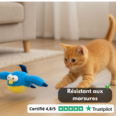 BirdyBuzz™ – Oiseau Volant Interactif pour Chats