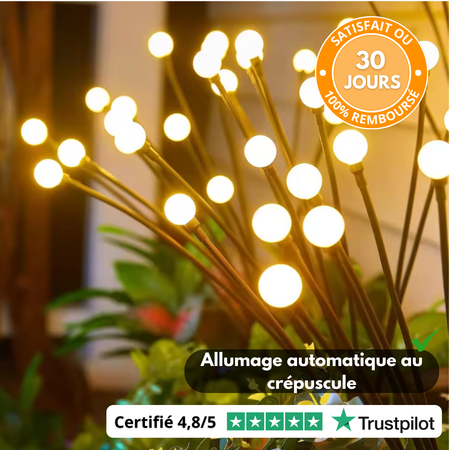 LuciLight™ – Lampe Solaire Lucioles Premium