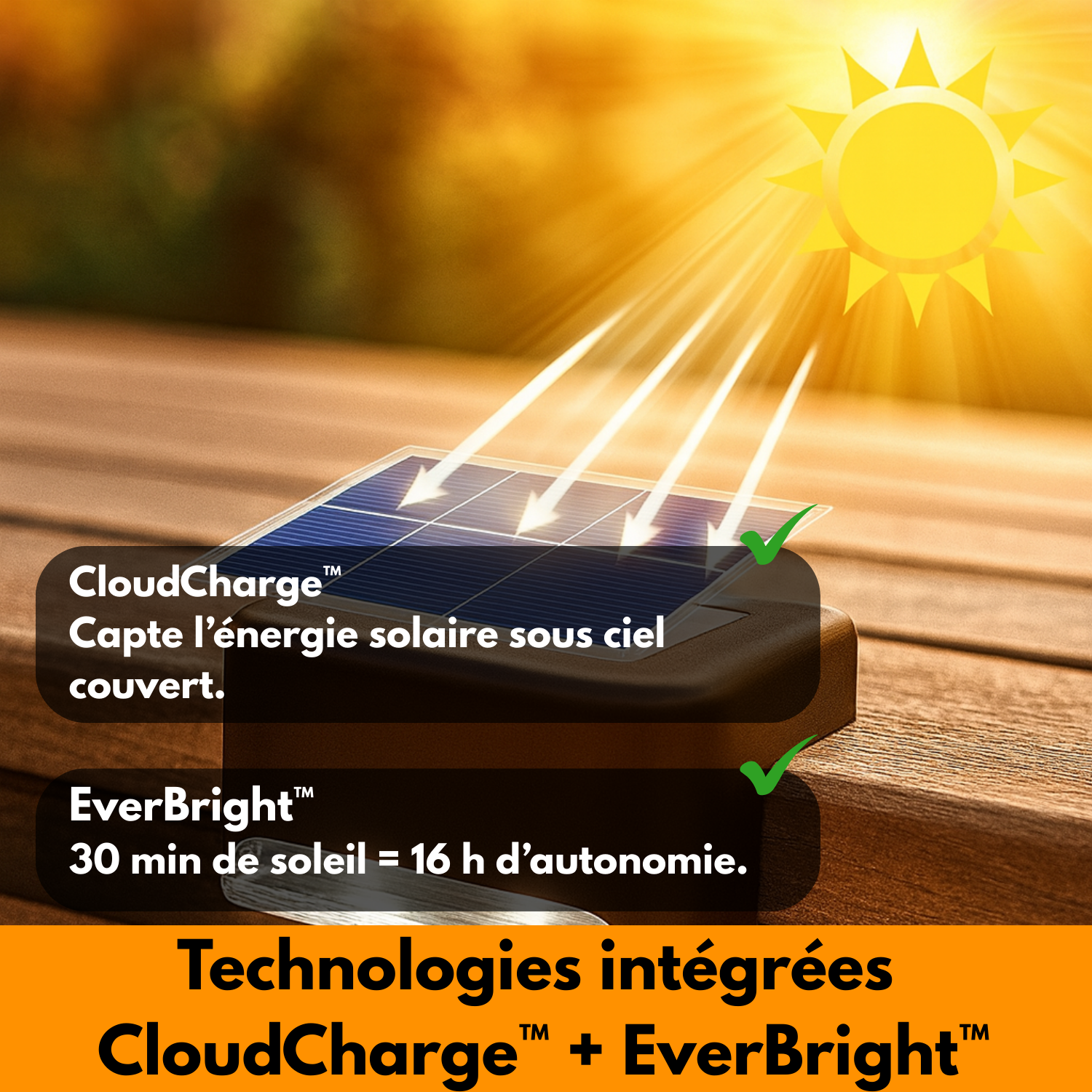 LumiStep PRO – Éclairage solaire intelligent pour extérieur sans fil