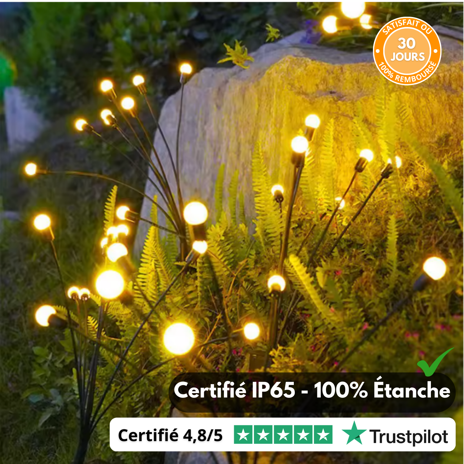 LuciLight™ – Lampe Solaire Lucioles Premium