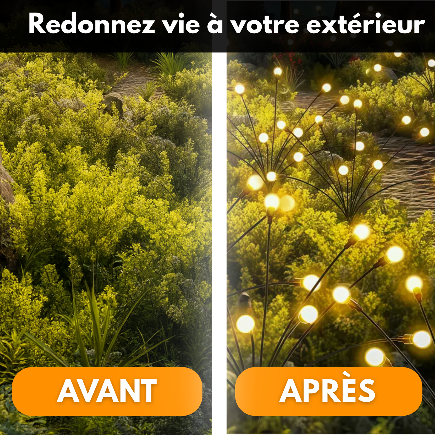 LuciLight™ – Lampe Solaire Lucioles Premium