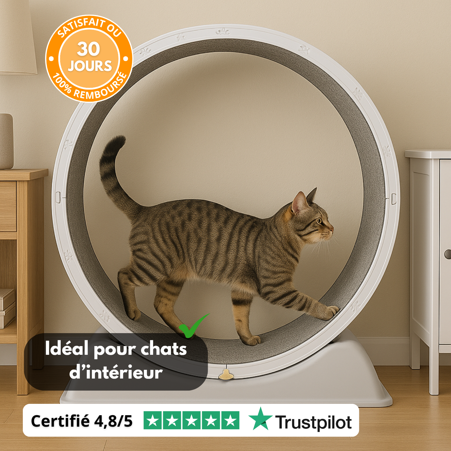 FelineWheel™ – Roue d’Exercice Intelligente pour Chat