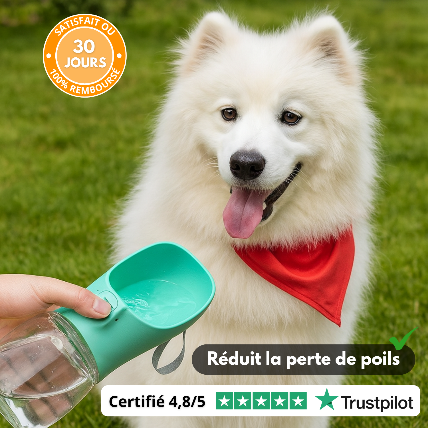 FreshSip™ – Gourde Portable pour Animaux