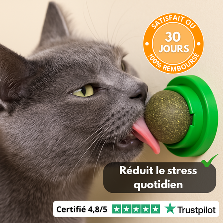 Lick’nBall – Boule Murale Herbe à Chat
