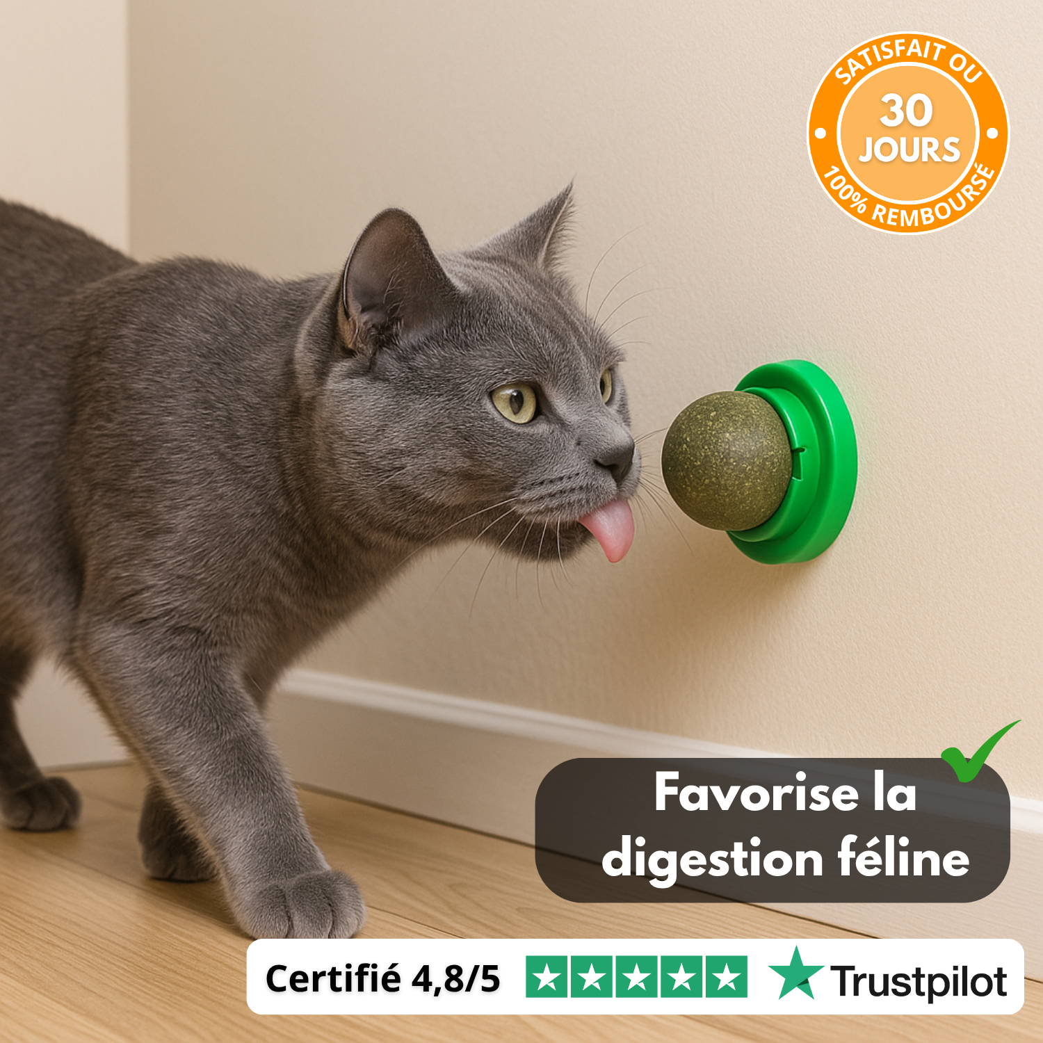 Lick’nBall – Boule Murale Herbe à Chat