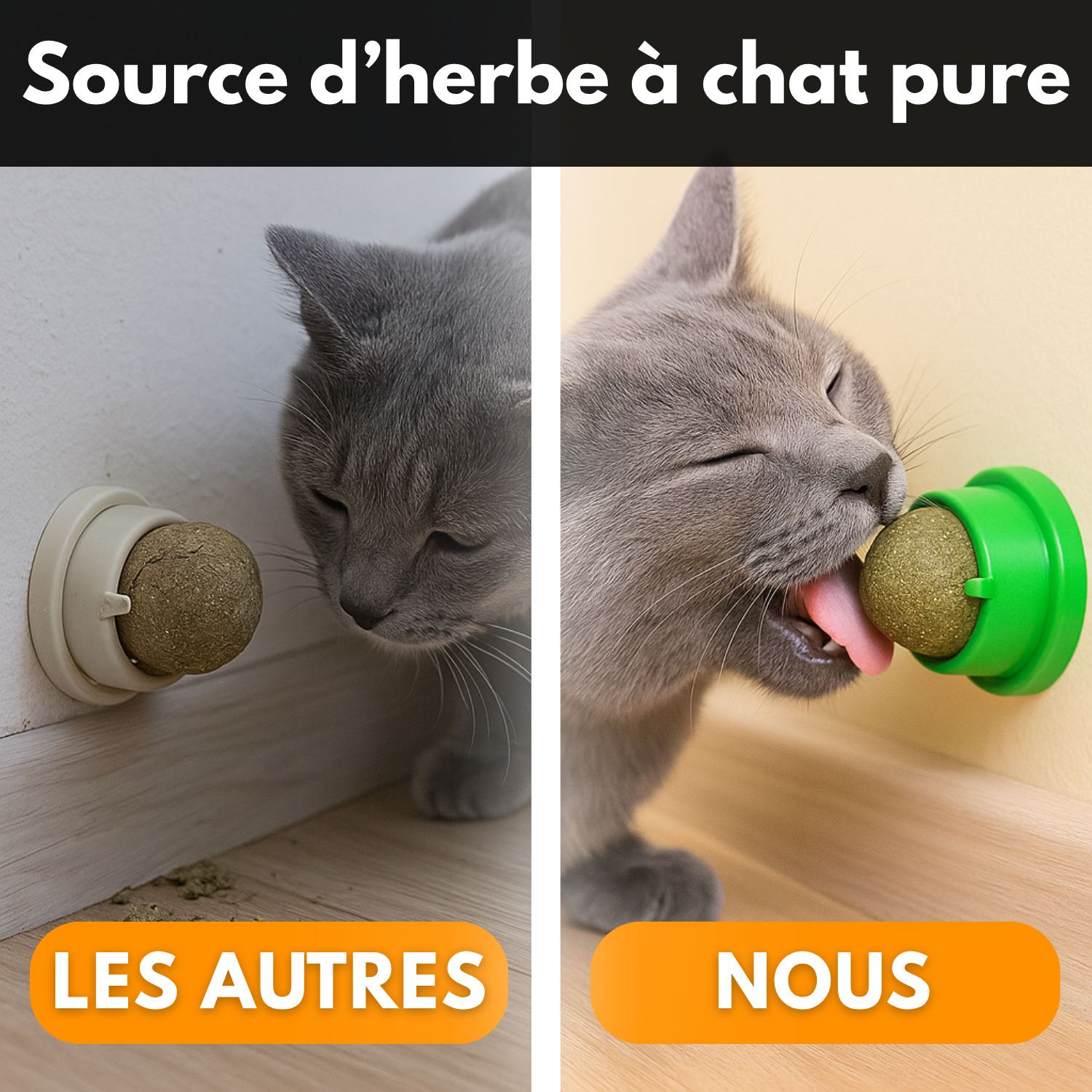 Lick’nBall – Boule Murale Herbe à Chat