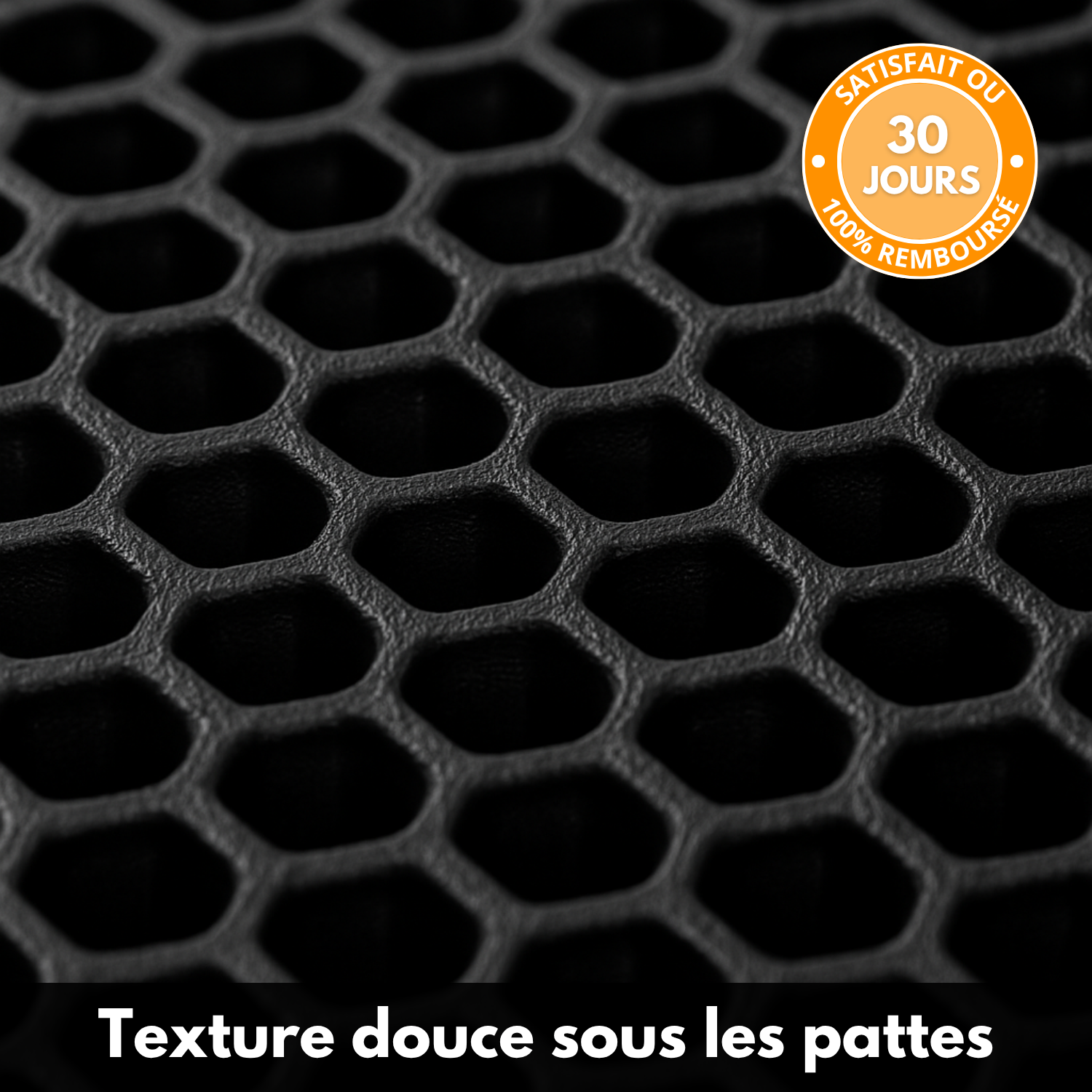LitterGuard™ – Tapis Anti-Grains pour Litière