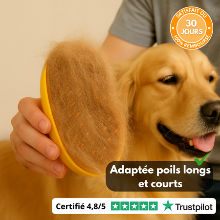 PetSpaBrush™ – Brosse Massage & Pulvérisation 3-en-1