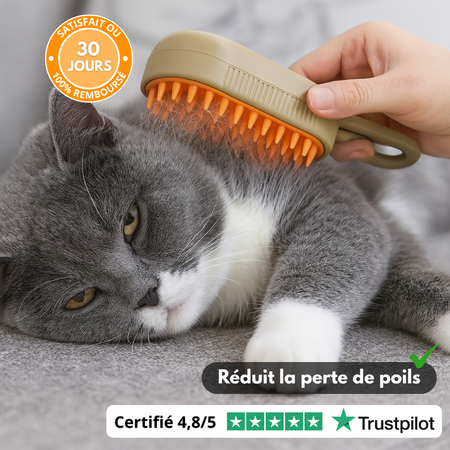 SteamBrush – Brosse Vapeur Rechargeable pour Animaux