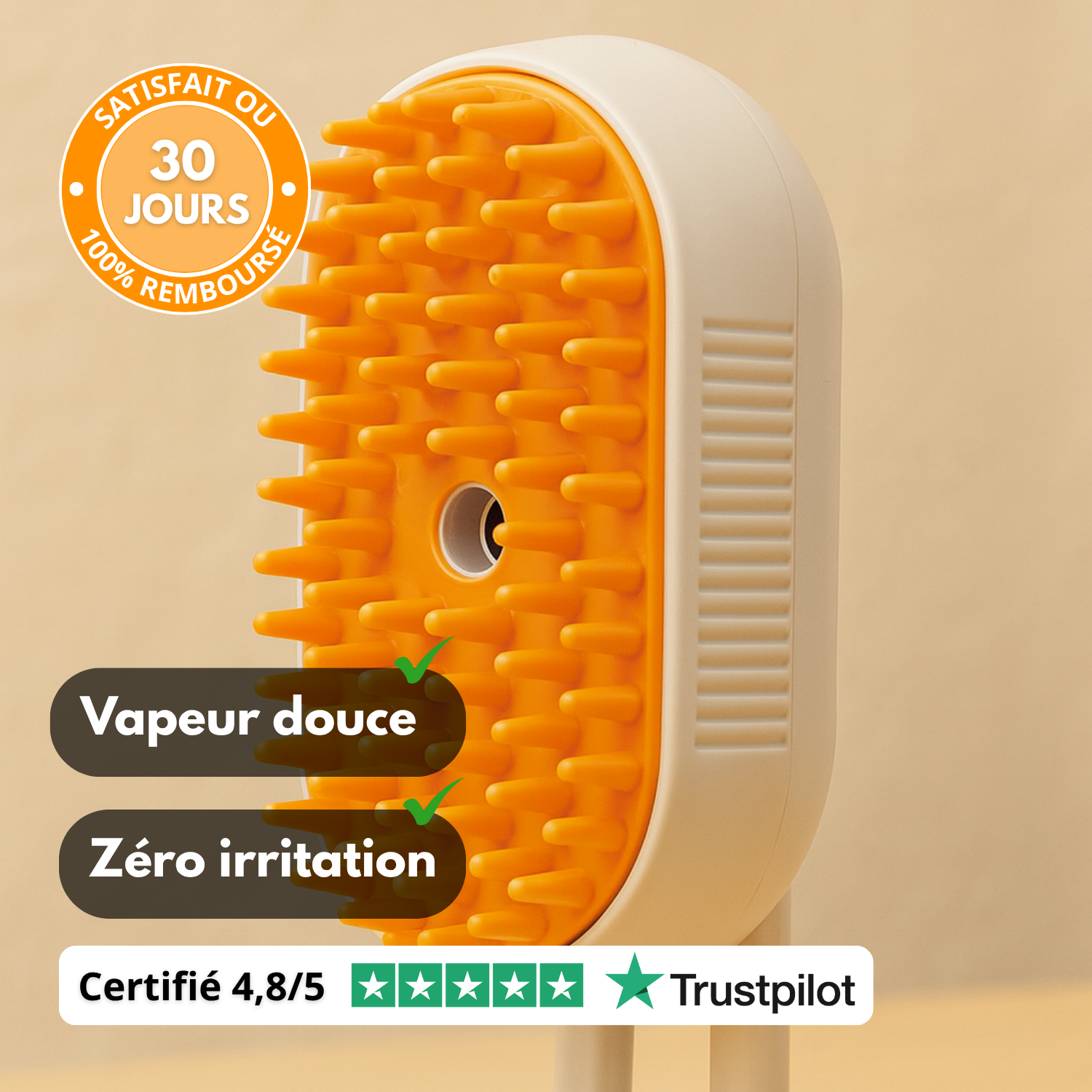 SteamBrush – Brosse Vapeur Rechargeable pour Animaux