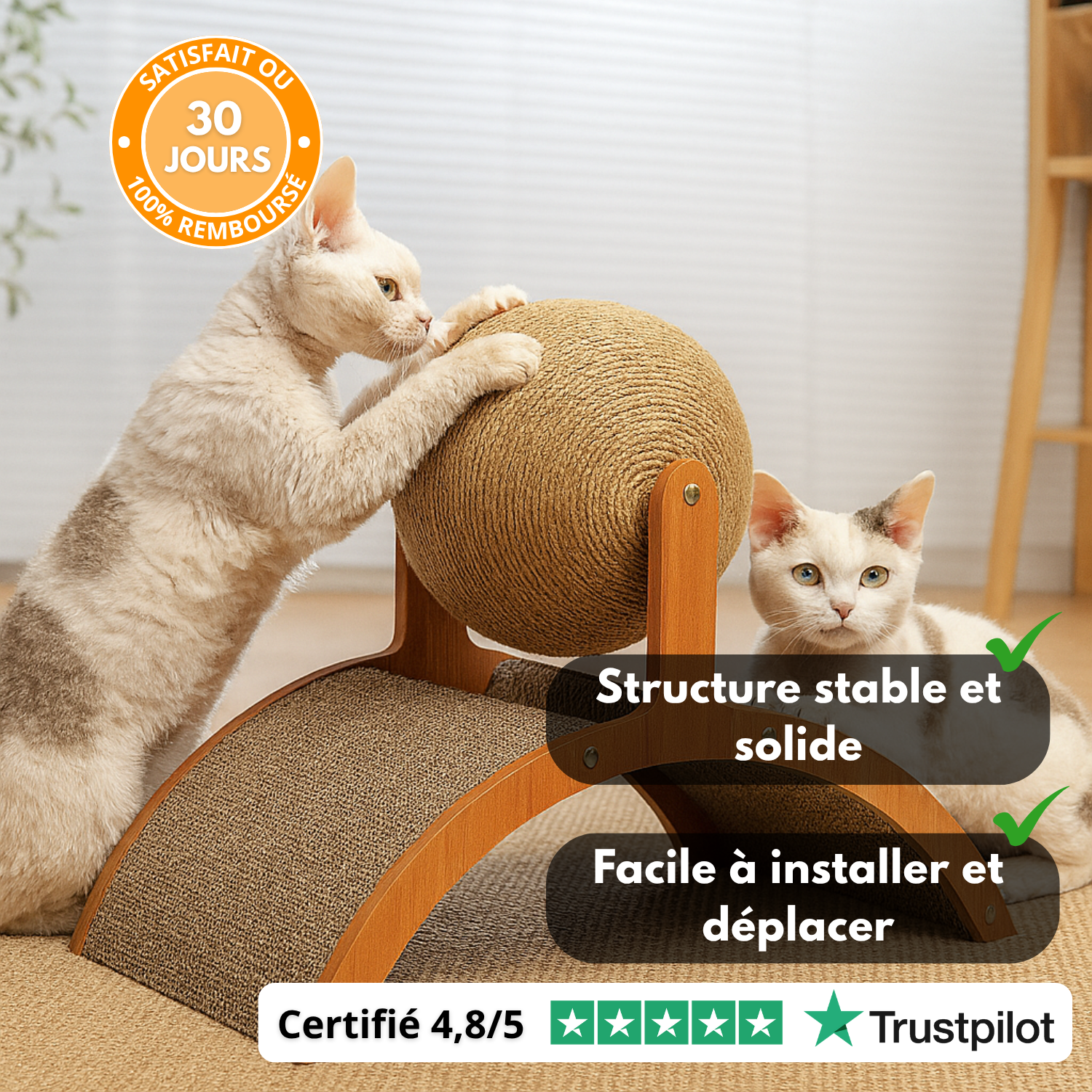WoodBallPlay™ – Balle à Griffer Design pour Chats