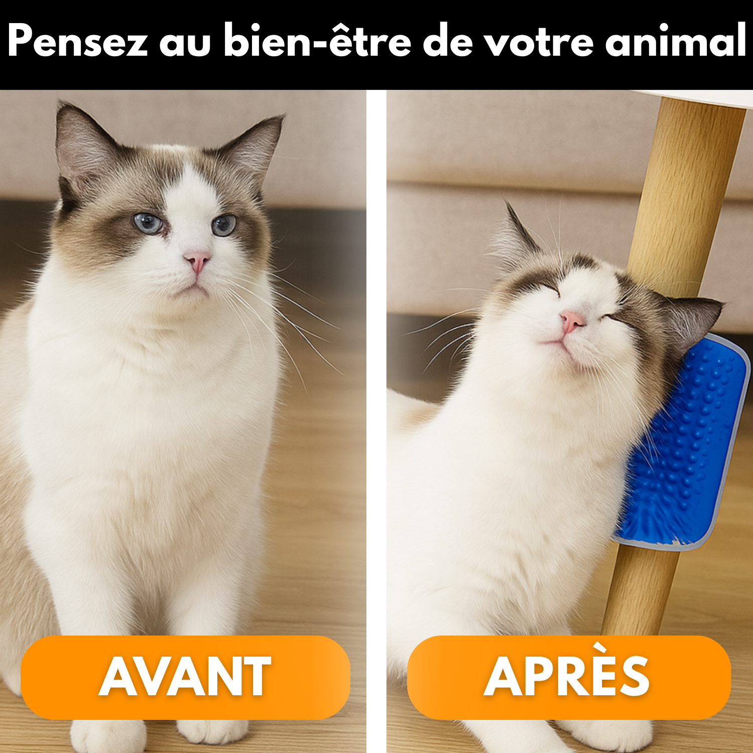 ZenBrush™ – Brosse Murale Relaxante pour Chats
